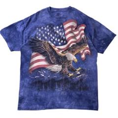 アメリカ古着　THE MOUNTAIN ザ　マウンテン　イーグル　鷲　Tシャツ