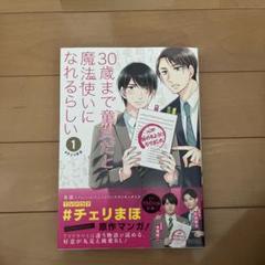 30歳まで童貞だと魔法使いになれるらしい全14巻