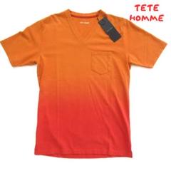 【TETE HOMME】テットオム 半袖 Vネック Tシャツ 0189