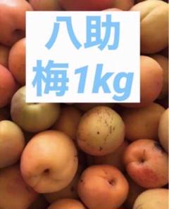 青森県産 八助 八助梅 5kg箱込み 90542867.jpg?cmsp_timestamp=