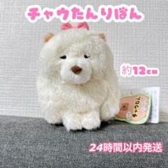 ちゃうねん ぬいぐるみストラップ グレー Amazon.co.jp: [Hushan] セブチ ウォヌ 猫 ぬいぐるみ 非公式