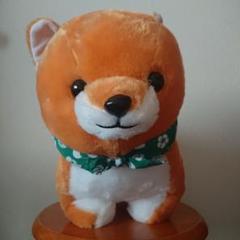 豆しば三兄弟 豆太郎 柴犬 ぬいぐるみ 緑色バンダナ メガジャンボ 大 BIG