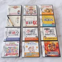 ☘️【無料匿名配送】　大人向け Nintendo DS 12本セット 箱説付き