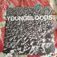 セール超レア初版ヴァイナルYOUNGBLOODS ROCK FESTIVAL