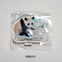 アドベンチャーワールド（Adventure - 【☆ジャイアントパンダ