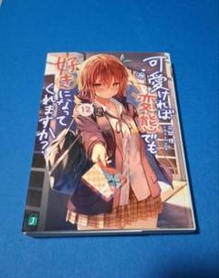 可愛ければ変態でも好きになってくれますか? 12