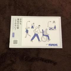 折坂悠太　CD4枚セット(平成直筆サイン入り) 折坂悠太 CD4枚セット(平成直筆サイン入り)