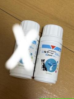 新品未開封ジルケーン　225mg 2本セット　期限：2025年6月13日 2025年最新】ジルケーン 225の人気アイテム - メルカリ