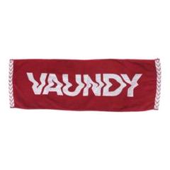 Amazon.co.jp: Vaundy タオル コンプリートセット : ホビー