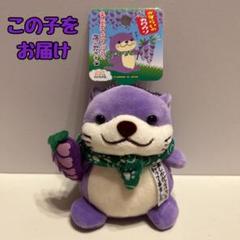さすらいの旅カワウソ　ぬいぐるみ　北海道　岩手　新潟　奈良　京都　高知　福岡 71OEh1jBGbL._UF894,1000_QL80_.jpg