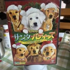 サンタ・バディーズ 小さな5匹の大冒険