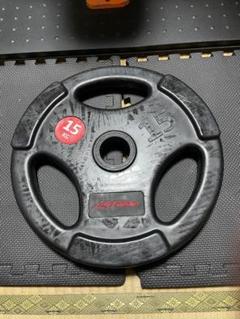 Life Fitness　オリンピック　ラバー・バーベルプレート　15kg2枚 2494db0ffb8060012c7120a3e02e26