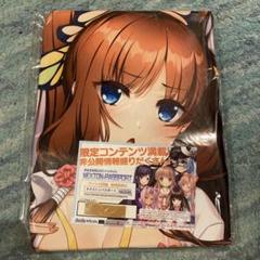 2025年最新】戦国 恋姫の人気アイテム - メルカリ