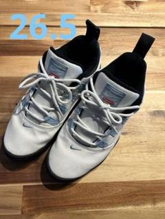 美品　supreme nike SB darwin 26.5