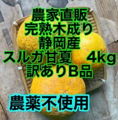 完全無農薬農家直送品静岡県産スルガエレガント20kg 静岡産スルがエレガント 無農薬 - メルカリ