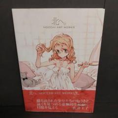Amazon.com: Nocchi Art Works Book: 9784775307632: Nocchi: Books