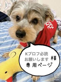 ブロッコリートレカアイテムくじOnline 「Z/X -Zillions of