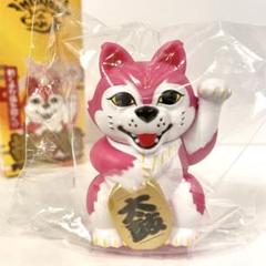 マンウィズ 招き狼 関連ワードシリーズ セット マンウィズ MAN WITH A MISSION 招きオオカミ コンプセット