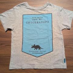 BREEZE トリケラトプス Tシャツ(130)