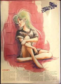 メガゾーン23 美樹本晴彦 イラスト ポスター メガゾーン23 美樹本晴彦 イラスト ポスター - メルカリ