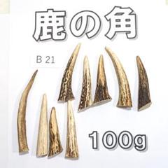 minoru様ご確認用　日本鹿角 鹿の角 B15- 6本セット 約100g 鹿角 鹿ツノ しかつの - メルカリ
