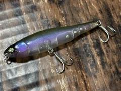 2025年最新】ウィップラッシュファクトリーの人気アイテム