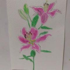花のパステル画宙花 it-6497a85864a7d-1200.jpg
