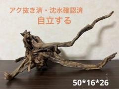 3040 流木　アクアリウム　沈水確認済　ブランチウッド 3040 流木アクアリウム沈水確認済ブランチウッド