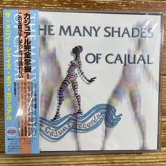 ザ・メニイ・シェイズ・オブ・カジュアル