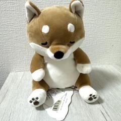ねむねむアニマルズ 柴犬 ぬいぐるみ