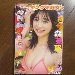 ヤングマガジン 2025 No.13のサムネイル