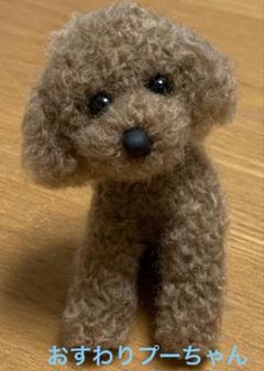 [お迎え決まりました]　　　　トイプードル♡ミニ❤️ハンドメイド❤️羊毛フェルト お手手のカットはもう少し植毛が 進んでからにします