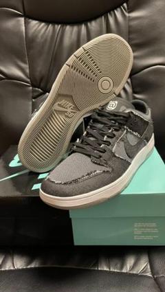 NIKE SB ZOOM DUNK LOW ELITE QS