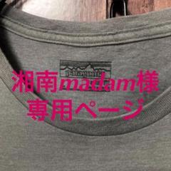 Patagonia パタゴニア オーガニックコットン Tシャツ スリムフィット