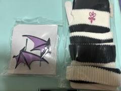 コンパス ラヴィ WEGOコラボ アームカバーと羽クリップ コンパス ラヴィ WEGOコラボ アームカバーと羽クリップ - メルカリ