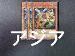 マ*ト様 ドロール＆ロックバード 25th クオシク 絵違い 3枚セット e2 ドロール&ロックバード(シークレット/イラスト違い