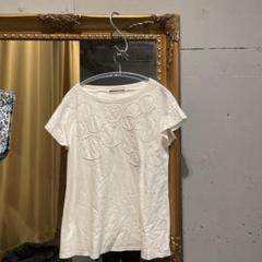 @ アルドリッジ Ｔシャツ 刺繍 ドット 水玉 シャツ 半袖