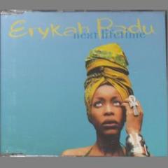 Erykah Badu next lifetime CD