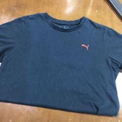 PUMA プーマ Tシャツ 150