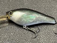 Kome大型　夜光貝7個　9、3kg 　　ルアー　ハンドメイド main_001_marine_gang_cookai_12