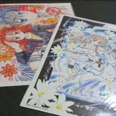 非売品】種村有菜 ビニールバッグ