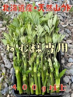 2025年最新】天然 タラの芽の人気アイテム - メルカリ