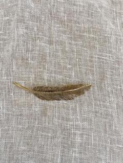 PLUIE正規品　フェザーバレッタ