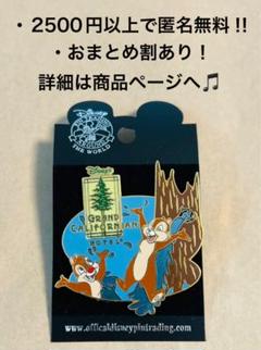 2414海外ディズニーランドアナハイムピングランドカリフォルニア