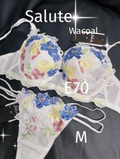 ⭐︎未使用品⭐︎サルート ワコール E70 ブラジャーショーツセット Yahoo!オークション -「ワコール サルート セット e70」の落札