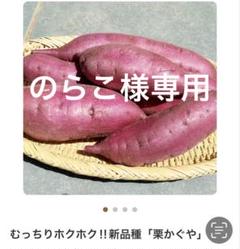 2025年最新】ふくむらさき苗の人気アイテム - メルカリ
