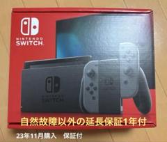 Nintendo Switch グレー 本体と付属品