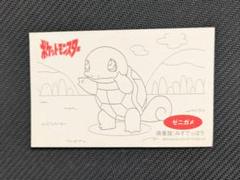 ゼニガメ