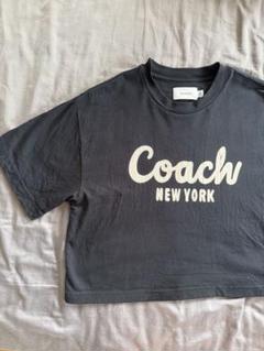 Coach クロップドTシャツ ブラック