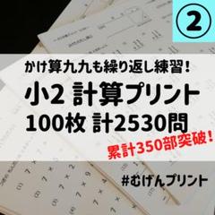 【小2プリント100枚、計2530問】算数ドリル問題集、入学準備、七田式、dwe